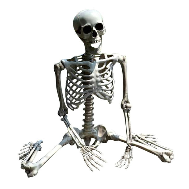 Fiogavroetic Halloween squelette accessoire humain pleine taille crâne main  vie corps anatomie modèle décor 