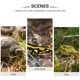 thumbnail image 4 of BRIGHTFUFU Plataforma para tomar el sol de tortuga, terraza de descanso de plástico, rampa de escalada, accesorio para terrario de hábitat de reptiles, 4 of 7