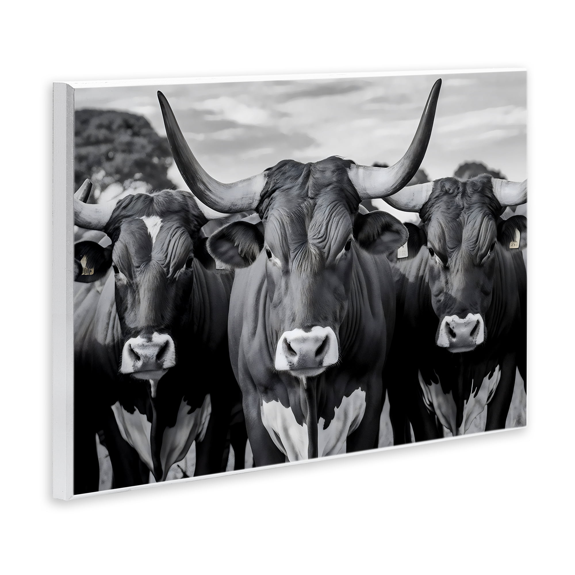 Stupell Industries Three Longhorns in a Row Wall Plaque Art, design by Creative Studio