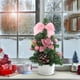 thumbnail image 1 of Mini Christmas Tree Desktop Ornaments Christmas Tree Small Household Christmas Wreath Decoration Set, 1 of 6
