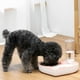 thumbnail image 2 of de tazón doble para agua y comida, dispensador automático de agua para mascotas con para comida, de tazones dobles para mascotas par gris, 2 of 9