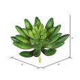thumbnail image 3 of Vickerman FA170501 Succulent de Cactus Verts, 3 of 3