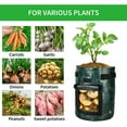 thumbnail image 4 of iPower 3-Pack 10-Gallon Potato Grow Bags Garden Vegetable Plant Pots Container, 4 of 6