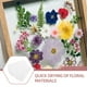 thumbnail image 4 of Papel prensado de flores DIY - 6 hojas de secado de plantas hechas a mano, papel absorbente para secar flores., 4 of 8