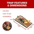 thumbnail image 5 of Tomcat Mouse Traps (Wooden), Inexpensive, Effective Way to Catch Mice in the Home, 2 Traps, 5 of 7