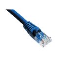 thumbnail image 1 of Axiom - Câble Patch - RJ-45 (m) à RJ-45 (m) - 10 Pieds - UTP - CAT 5e - Amorti, Moulé - Bleu, 1 of 3