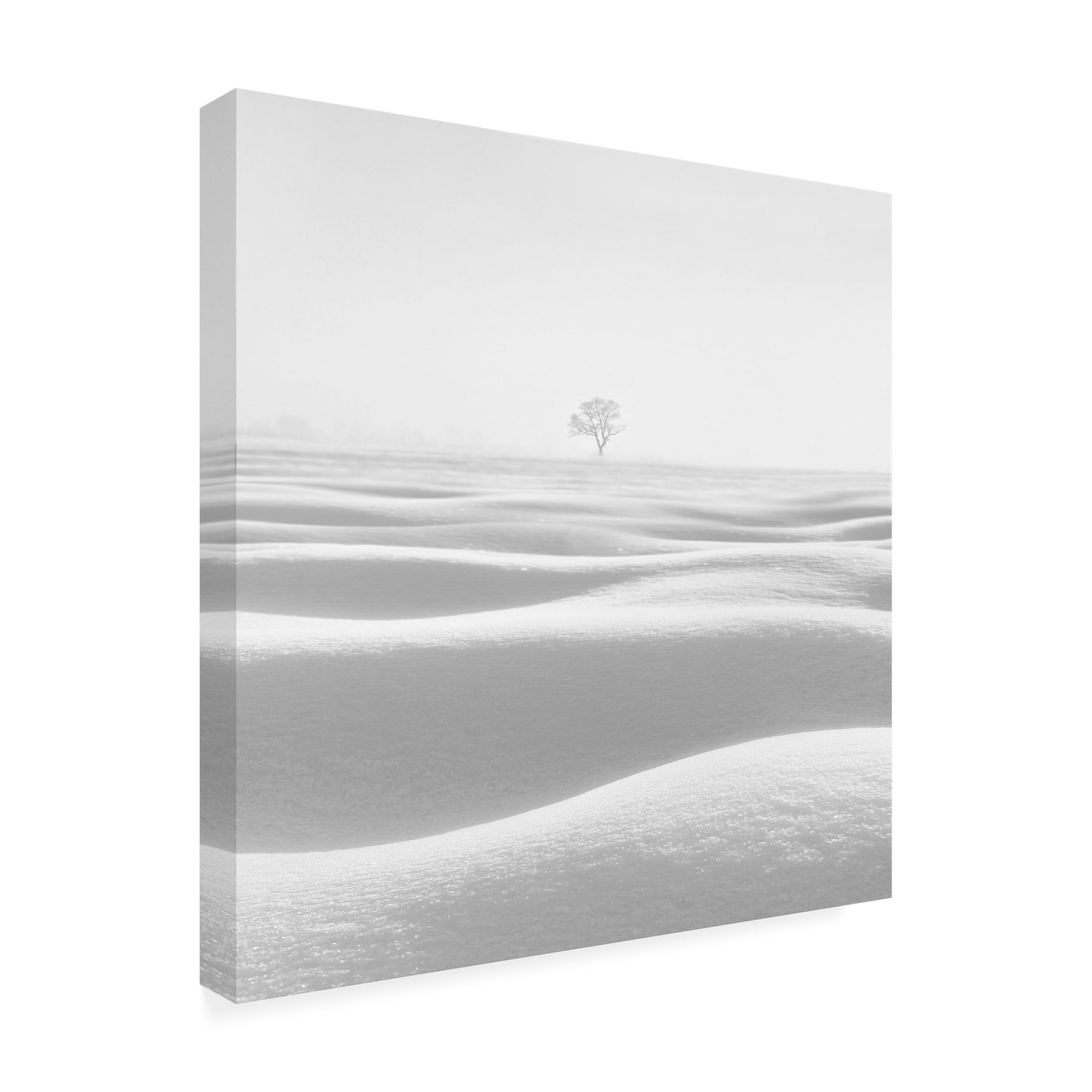 Trademark Fine Art MOSTAFA NODEH  Wave Canvas Wall Art