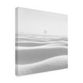 thumbnail image 4 of Trademark Fine Art MOSTAFA NODEH Fog Canvas Wall Art, 4 of 4