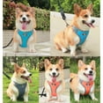 thumbnail image 6 of Legendog Dog Chest Harness No Pull Dog Harness Adjustable Dog Reflective Harnesses No-Choke Pet Vest Harness for Small Medium Large Dogs, 6 of 11