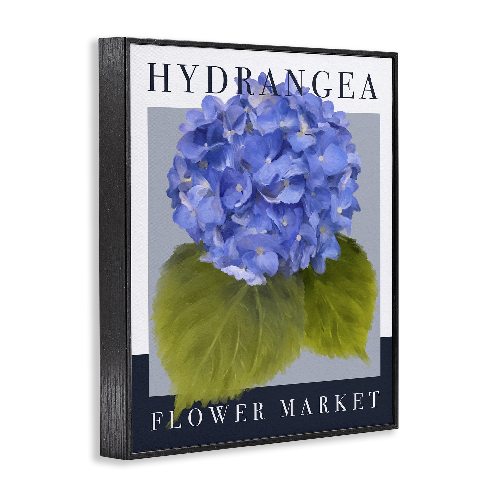 Stupell Industries Hydrangea Flower Market Black Framed Giclee Art, design by Jennifer Stith