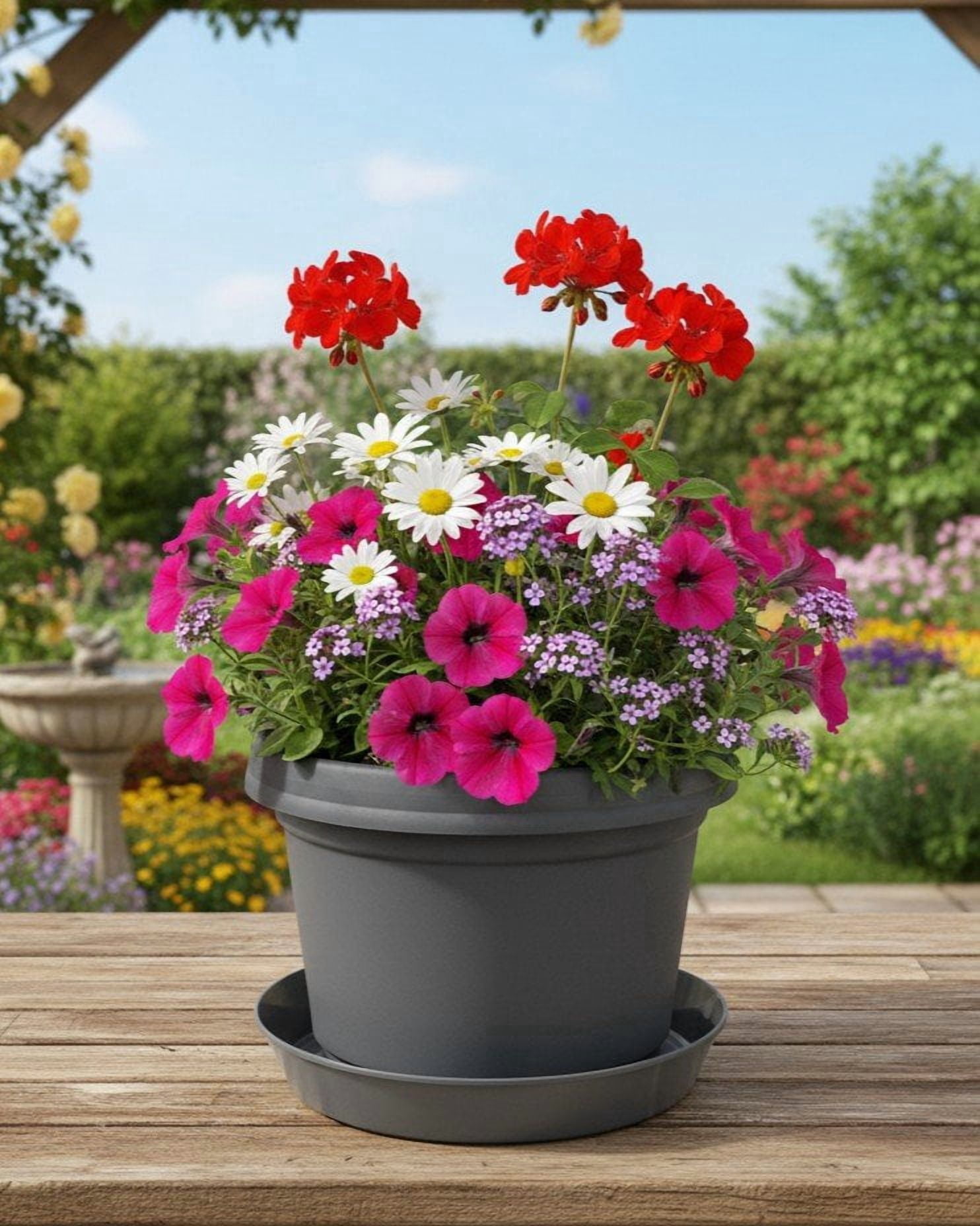 Austin Planter 12 inch Single Flower Pot and Saucer, Grey