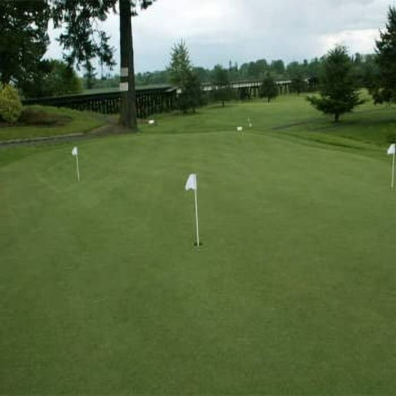 Outsidepride 2 lb. Perennial Shade Tolerant Creeping Bluegrass for Golf Courses & Home Putting Greens