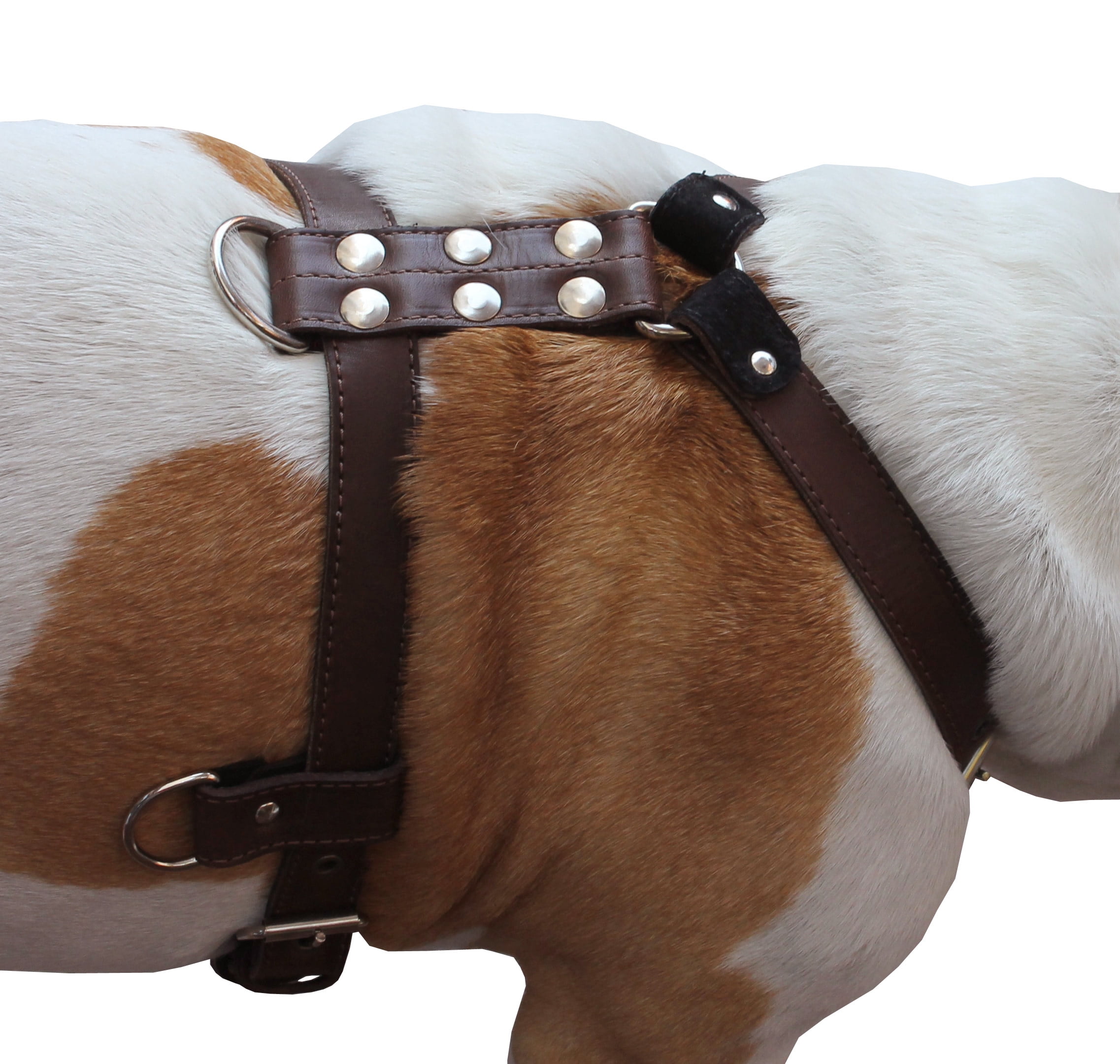 Genuine Leather Dog Harness Medium to Large 25"-32" Chest, 1" Wide Adjustable Straps (Brown)
