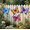Style2, variant on 4PCS Metal Butterfly Wall Art – Colorful Outdoor Hanging Decor with Rust-Proof Coating – for Garden, Fence, Patio, Living Room – 7 Styles Available