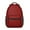 Black and Red, variant on Red and White Checkered Backpack for School,Cute School Bag,Schoolbag with Adjustable Shoulder Straps & Padded Back,15.3"x11"x6.7"