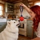 thumbnail image 4 of Pelota de neumático para mascotas con cuerda elástica, juguete de entrenamiento para perros, pelota para masticar y morder, perfecta para juego interactivo, molares de goma., 4 of 6