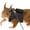 Black, variant on Winter Poetry Upgrade Small Pet Chest Strap and Leash Set, 3 Sizes S M L Harness with 1.65m Rope, for Squirrels Chipmunks B