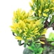 thumbnail image 1 of Plantas de Agua Artificiales de Acuario Guapo, Plantas de Agua de Simulació de Peces, Resina para Peces de Acuario, 1 of 7