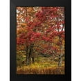 thumbnail image 2 of Head, Danny 14x18 Black Modern Framed Museum Art Print Titled - Gold and Red, 2 of 5