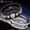 Black, variant on Choose the Right CTR Tungsten Carbide Ring