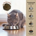 thumbnail image 6 of Dr. Pol High Protein Limited Ingredient Chicken Recipe Dry Cat Food for All Breeds, Ages and Sizes of Cats and Growing Kittens, 4 lb. Bag, 6 of 8