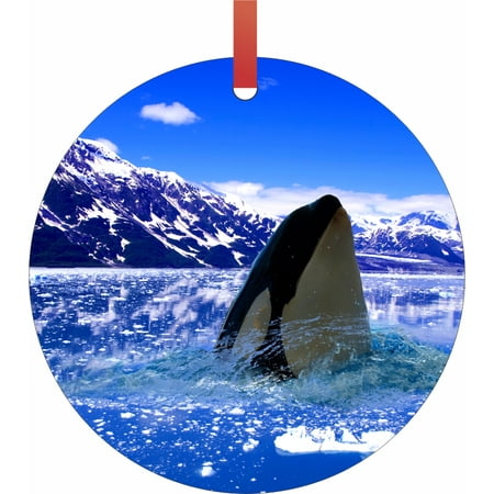 Arctic Orca Killer Whale Double Sided Flat Round Shaped Ornament Xmas Tree Christmas Décor Christmas Room Décor And Ornament Yard Decorations Walmart Com Walmart Com