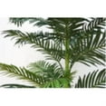 thumbnail image 5 of Orchid & Succulent Garden with White Wash Planter, 5 of 5