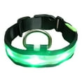 thumbnail image 2 of Collier Lumineux Réglable pour Animaux de Compagnie Randonnée Nuit Marche Animal Lumineux Cadeau Animaux Fournitures Choker Portable Lavable Colliers Animaux de Compagnie Fournitures Cadeau Vert L, 2 of 9