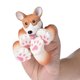 thumbnail image 1 of Toys Cat Pug Panda Dog Figure - Rubber Animal Finger Puppets Set With Heads Paws Feet - Bath Toys For Kids - Christmas Gi heqiyong LED, 1 of 2