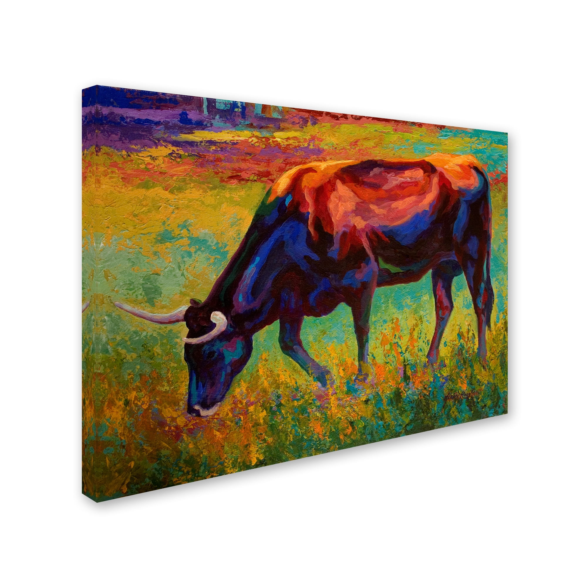 Trademark Fine Art 'Grazing Longhorn' Canvas Art by Marion Rose