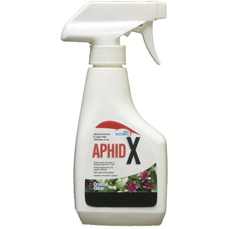 Winston Crystal Clear Cc100-12 Crystalcl