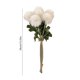 thumbnail image 3 of Dandeliones artificiales blancos, 6pcs, plantas de simulación para bodas, fiestas, decoración del hogar, 3 of 6