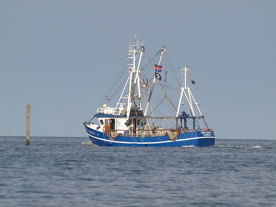 fishing cutter