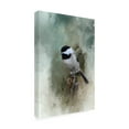 thumbnail image 3 of Trademark Fine Art Jai Johnson Winter Chickadee Canvas Wall Art - 16x24, 3 of 5