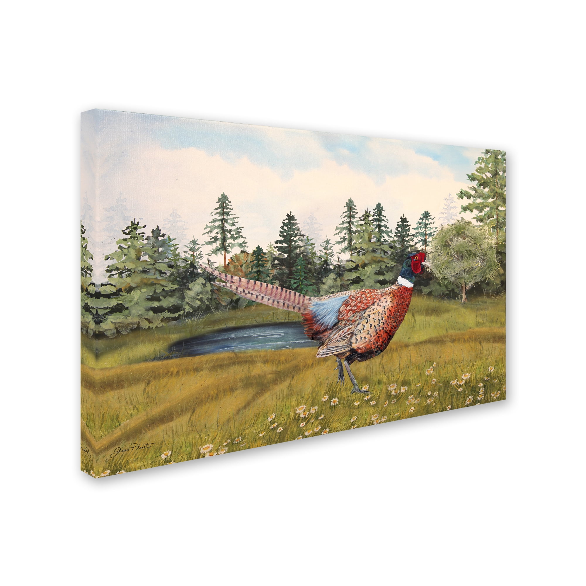 Trademark Fine Art 'Wilderness Lodge 15' Canvas Art by Jean Plout