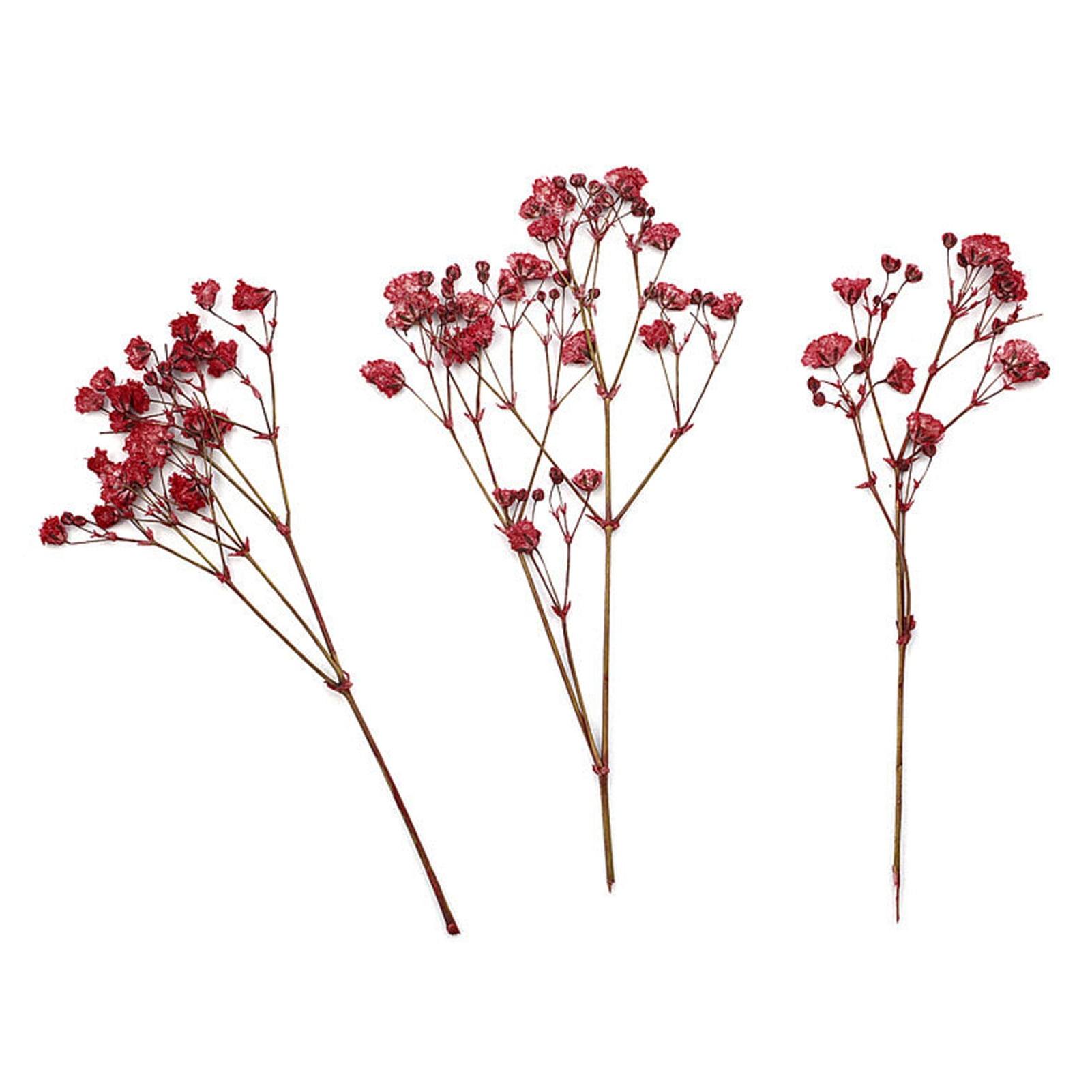 Bobasndm Baby Breath Flowers Real Touch 12Pcs Dried Real Touch