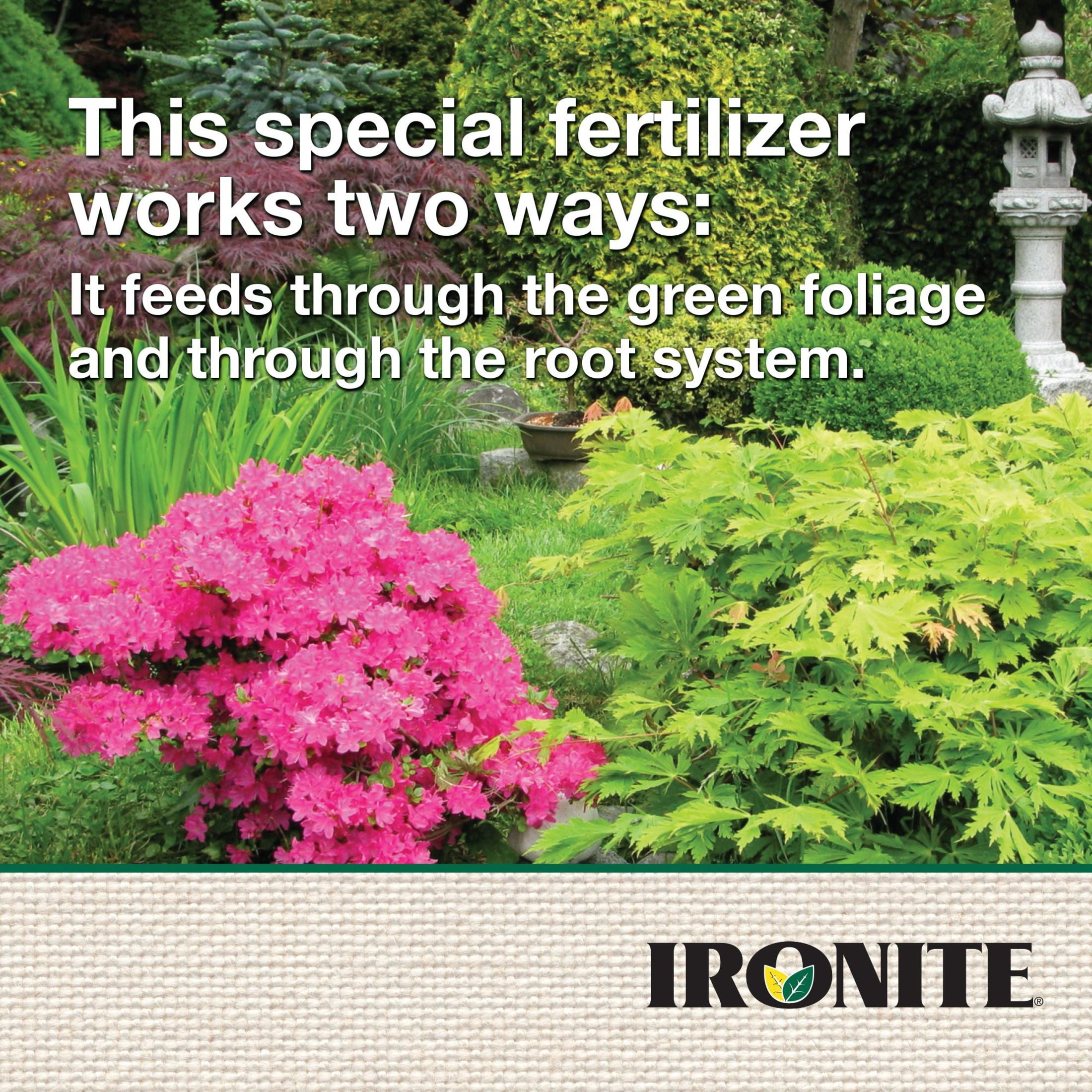 Ironite Plus Liquid Lawn & Garden Ready to Spray 7-0-1, 32 oz