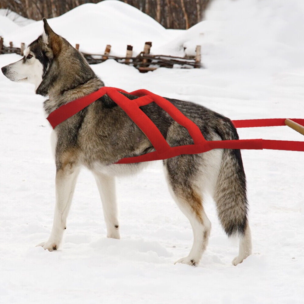 Didog Strong Dog Weight Pulling Harness Heavy Duty Padded Pet Sledding Training Vest
