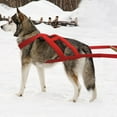 thumbnail image 6 of Didog Strong Dog Weight Pulling Harness Heavy Duty Padded Pet Sledding Training Vest, 6 of 13