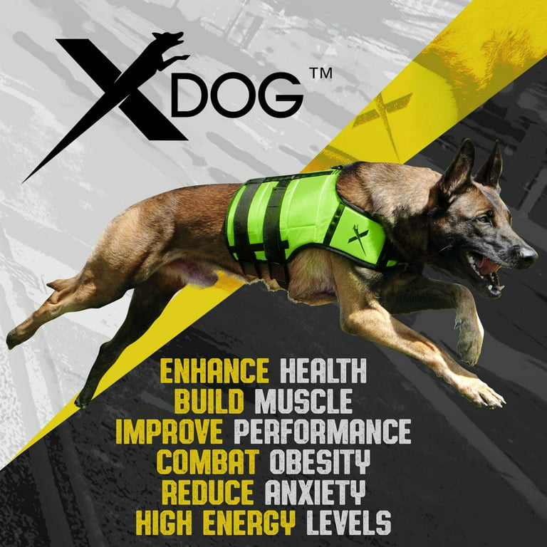 Xdog Resistance Band (8 Feet) | Dog Exercise Equipment for Core Strength,  Muscle Building, and Dog Weight Loss | Premium Dog Agility Training