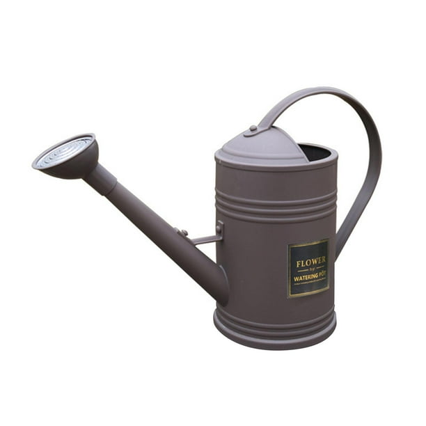 Regadera De Jardín 3 Litros - Cuello Largo, Cabezal Aspersor Desmontable, ABS - Para Plantas De Interior Y Exterior