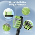 thumbnail image 4 of OasiSmile Replacement Toothbrush Heads, Compatible with Electric Toothbrush Y05 & Y06  Models, 4 of 4