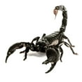 thumbnail image 1 of Pegatinas de coche 3D, pegatinas de parachoques de animales, decoración de escorpiones de lagarto araña, 1 of 8