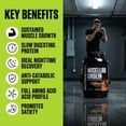 thumbnail image 6 of NutraBio Micellar Casein Protein Powder, 2 lbs, Dutch Chocolate, 6 of 9