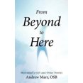 thumbnail image 1 of From Beyond to Here: Merendael's Gift and Other Stories, 1 of 2