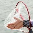 thumbnail image 3 of Aluminum Alloy 93.8cm Telescoping Foldable Landing Net Retractable Red, 3 of 8