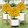 thumbnail image 1 of Artificial Butterfly Orchid Simulation Flower Ground Insertion for Wedding Garden Outdoor Decoration, Realistic Fake Plant with Easy Assembly and Maintenance-Free, Ideal Gift, 1 of 8