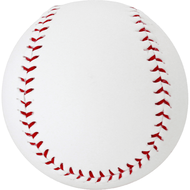 Baden Autograph Baseball, Official Size (One Dozen), White Logo (ABB-B)