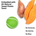 thumbnail image 3 of Chew Ball Playology Squeaky para perros, con aroma a batata, 3 of 4