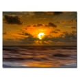 thumbnail image 2 of Ready2HangArt Magnetized Splendor Canvas Wall Decor, 2 of 6